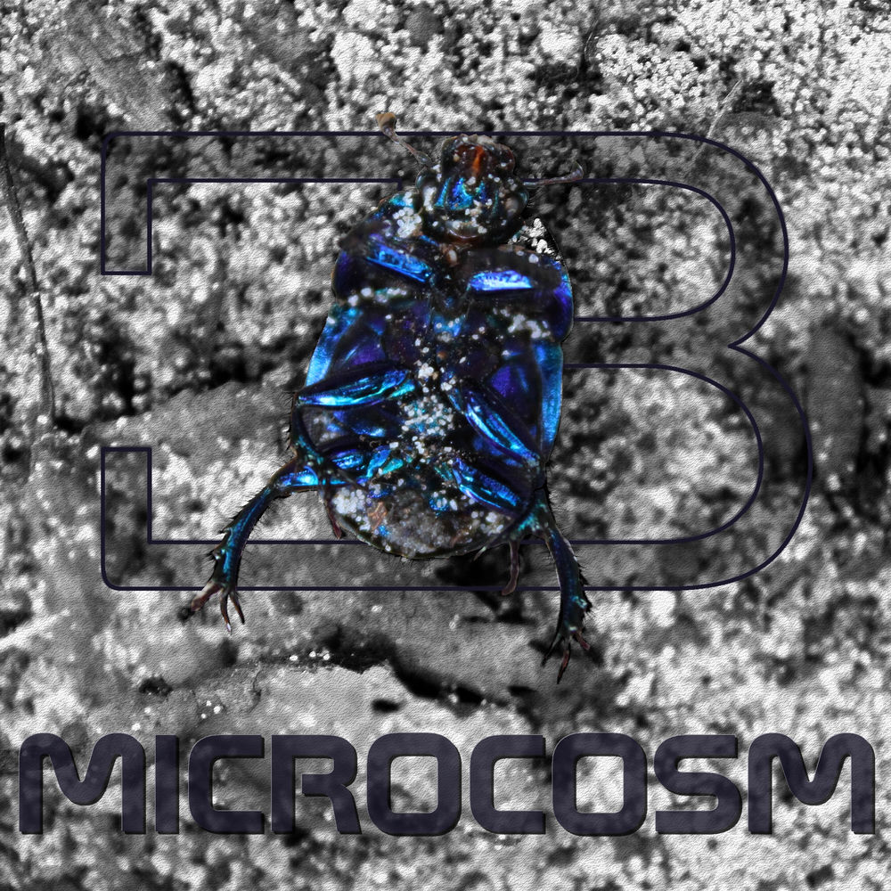 Cover of Ben C – Microcosm