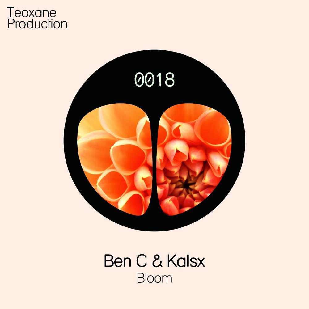 Cover of Ben C & Kalsx – Bloom