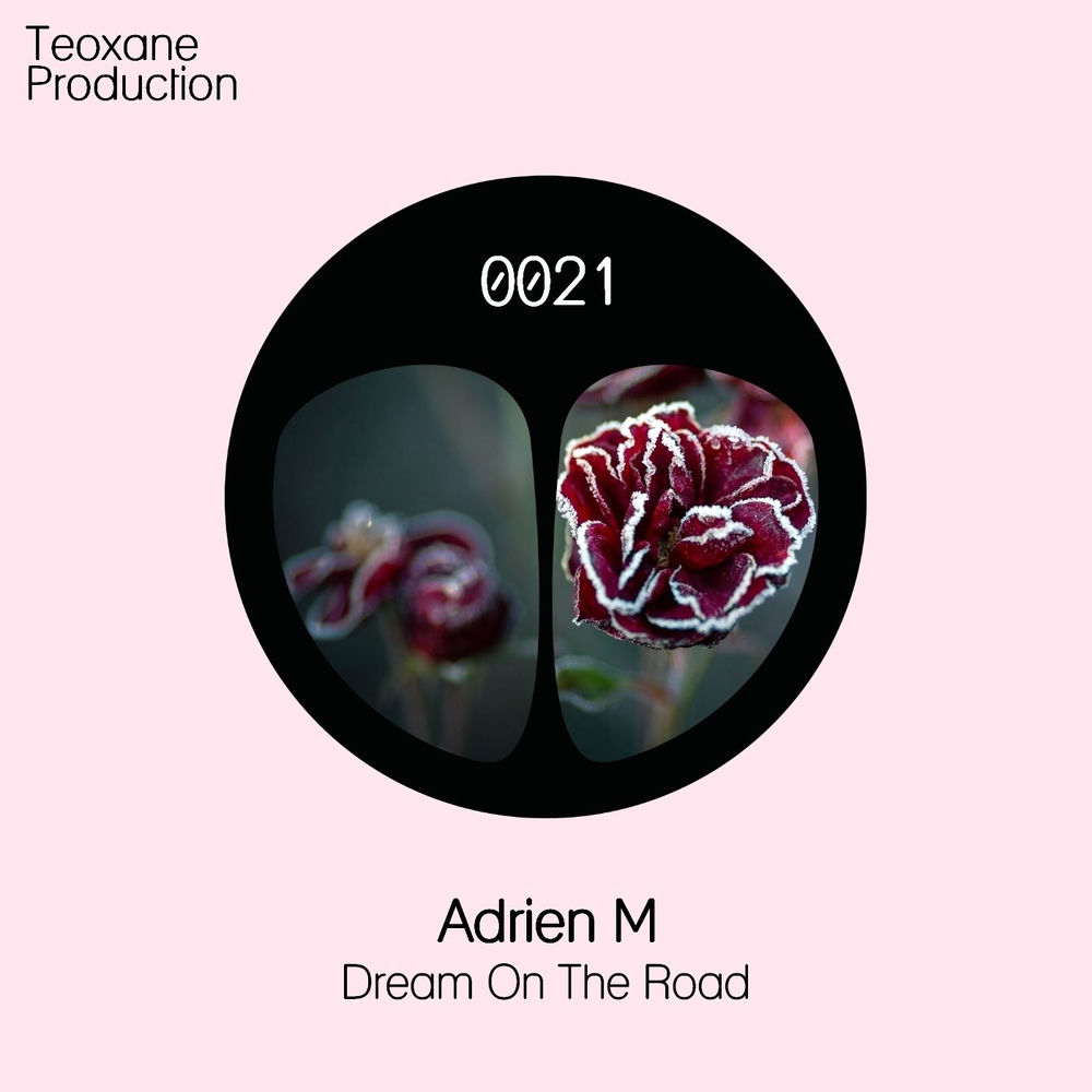 Cover of Adrien M – Dream on the Road