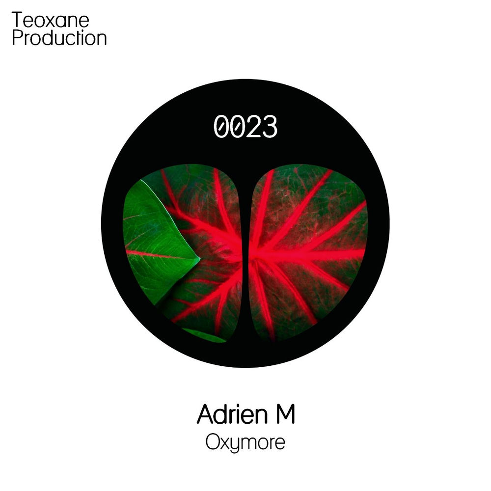 Cover of Adrien M – Oxymore