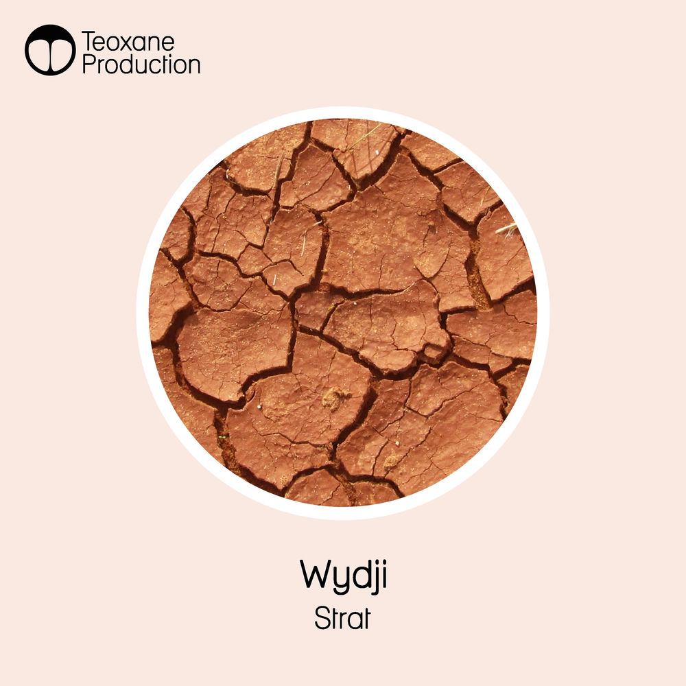 Cover of Wydji – Strat