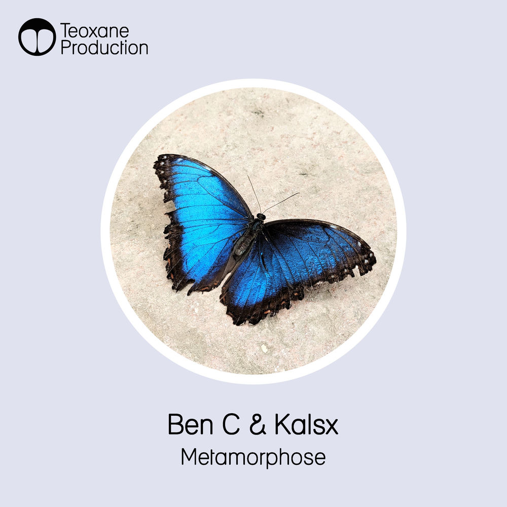 Cover of Ben C & Kalsx – Metamorphose