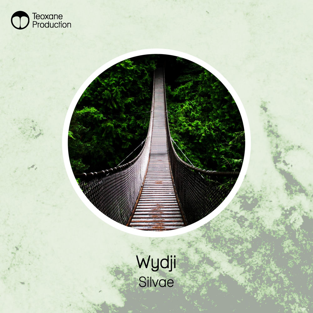 Cover of Wydji – Silvae