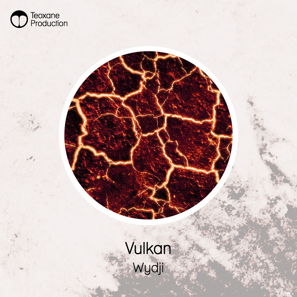 Cover of Wydji – Vulkan