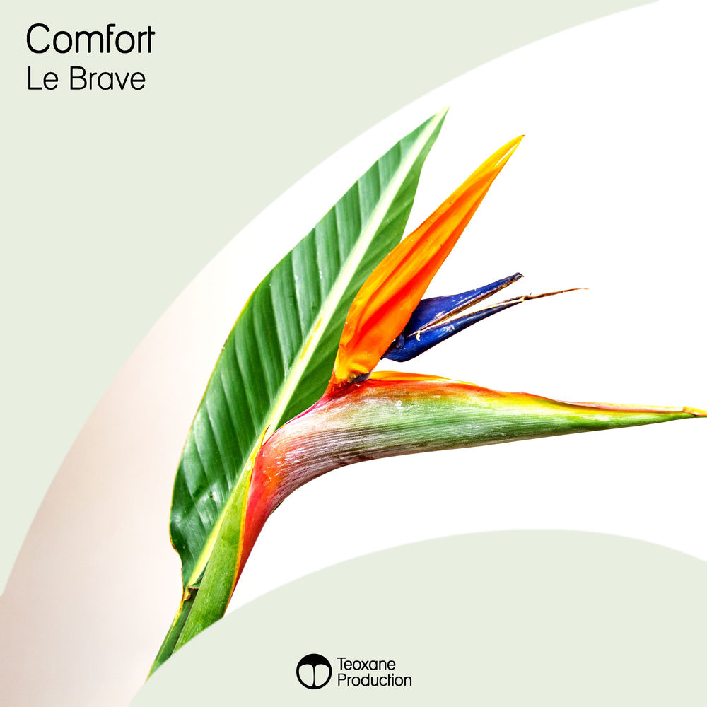 Cover of Le Brave – Comfort