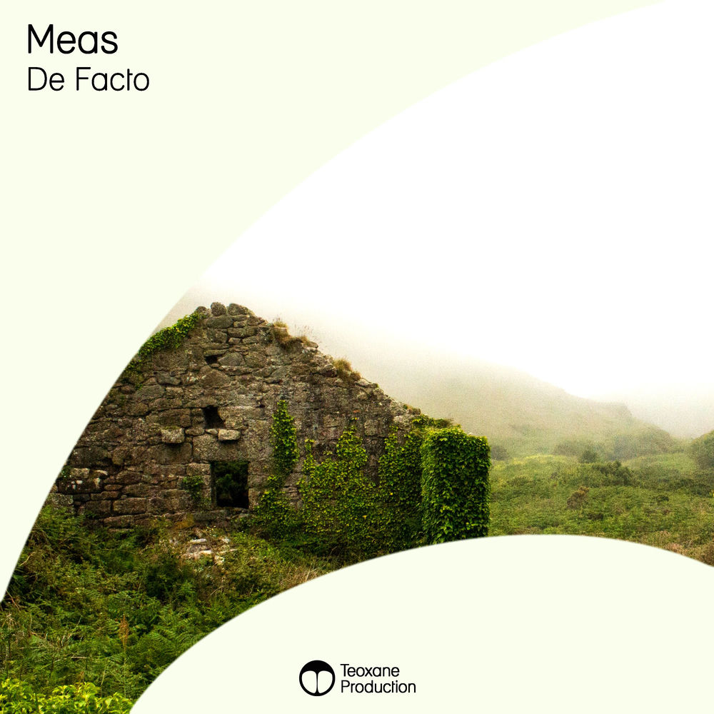 Cover of De Facto – Meas
