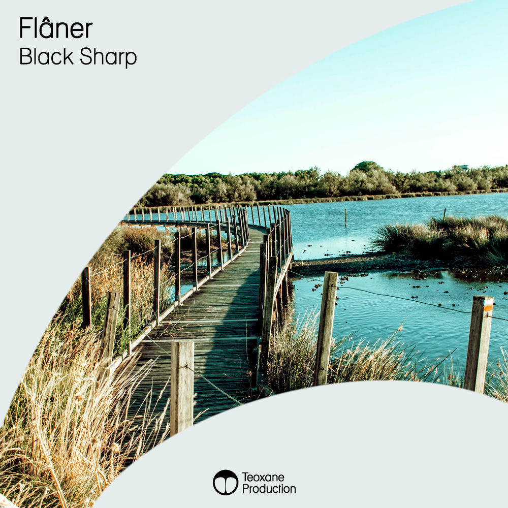 Cover of Black Sharp – Flâner