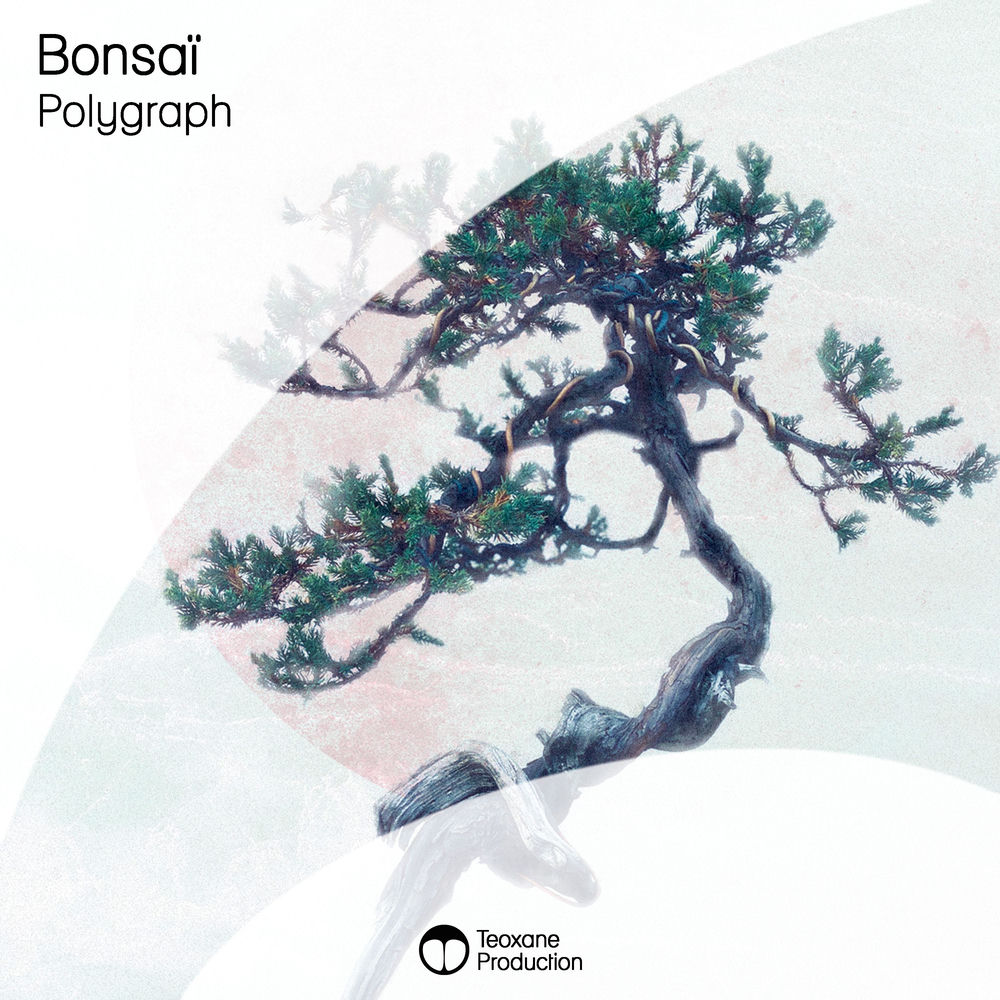 Cover of Polygraph – Bonsaï