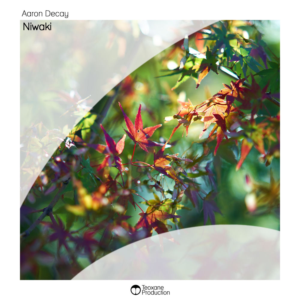 Cover of Aaron Decay – Niwaki
