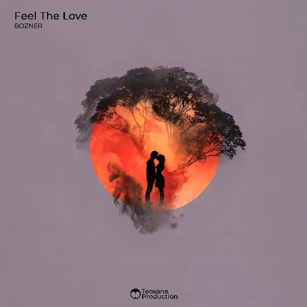 Cover of BOZNER – Feel The Love